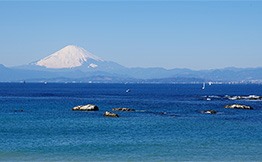 公園の風景6