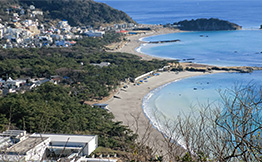 公園の風景5