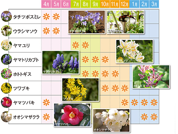 花ごよみ