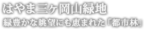 [はやま三ヶ岡山緑地]緑豊かな眺望にも恵まれた「都市林」