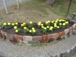 260529IMG_0037.JPG